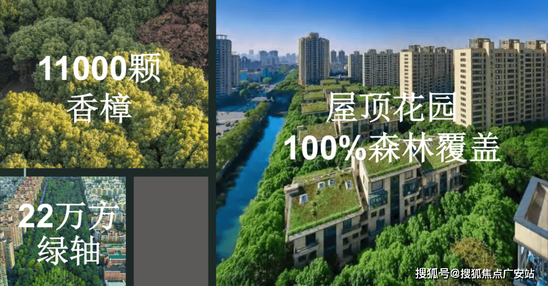 -最新房价户型图-小区环境-楼盘详情-交房时间-周边配套-售楼处电话中鹰黑森林首页网站-中鹰黑森林售楼处电话-楼盘详情-交房时间-地址(图24)